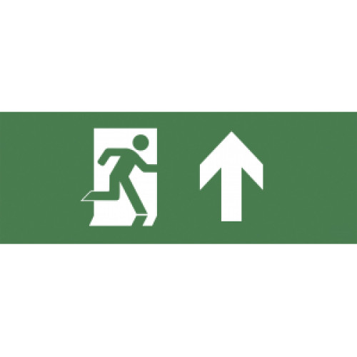 Самоклеящаяся этикетка ЭРА INFO-SSA-104 350х130мм 