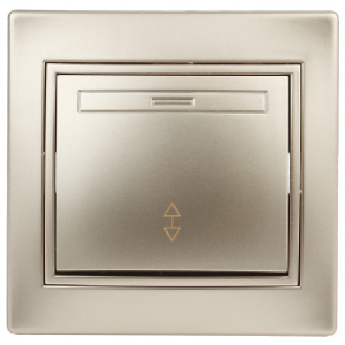 1-103-04  Intro Переключатель, 10А-250В, IP20, СУ, Plano, шампань