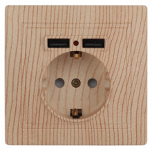 1-410-11  Intro Розетка+USB, IP20, СУ,Plano, сосна