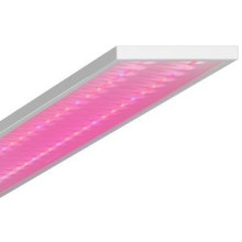 Светодиодный светильник Geniled ЛПО Agro 50W IP54 Микропризма