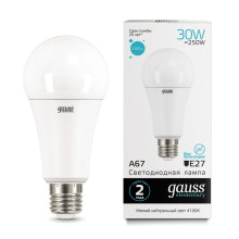 Лампа Gauss LED Elementary A67 30W E27 4100K 1/10/50