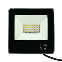 Прожектор  LT-FL-01N-IP65- 30W-6500K LED