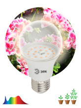 FITO Лампы тип цоколя E27  ЭРА Лампа полного спектра FITO-11W-Ra90-E27