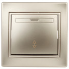 1-103-04  Intro Переключатель, 10А-250В, IP20, СУ, Plano, шампань