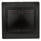 1-105-05  Intro Выключатель двойной с подсветкой, 10А-250В, IP20, СУ, Plano, антрацит