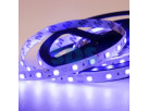 LED лента открытая, 10 мм, IP23, SMD 5050, 60 LED/m, 12 V, цвет свечения синий